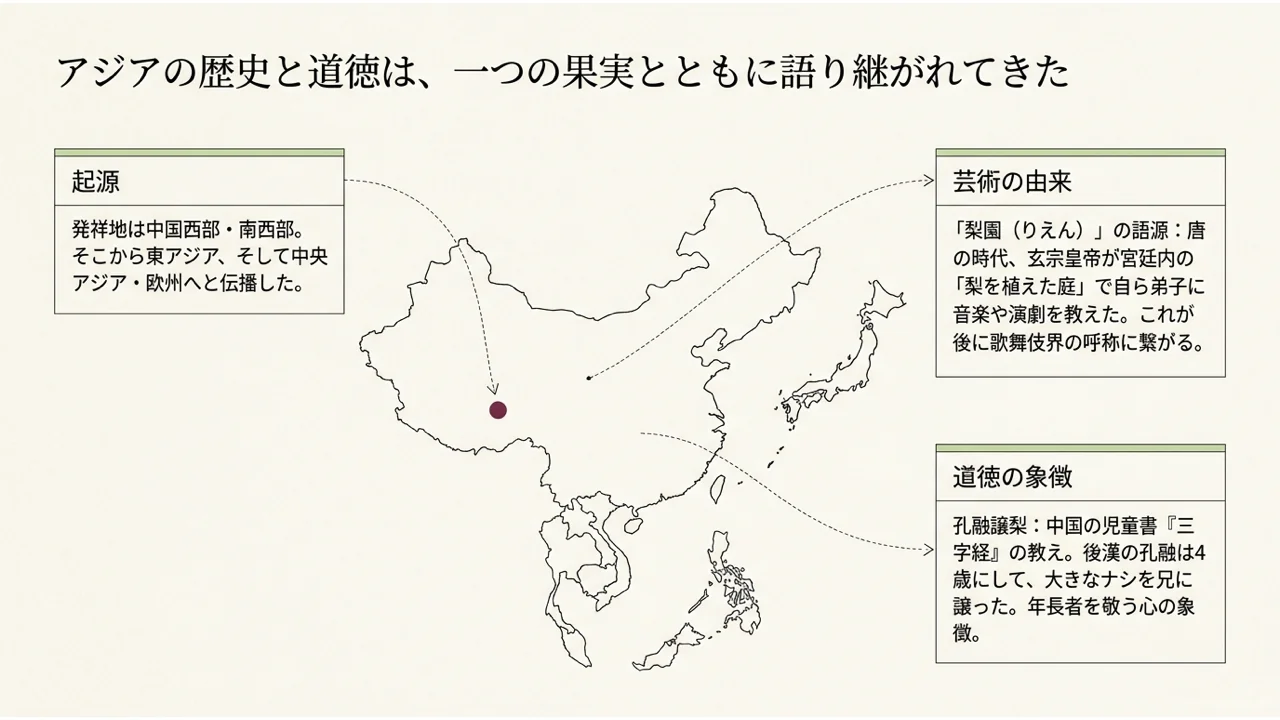 梨園の由来と孔融譲梨の故事を紹介する図