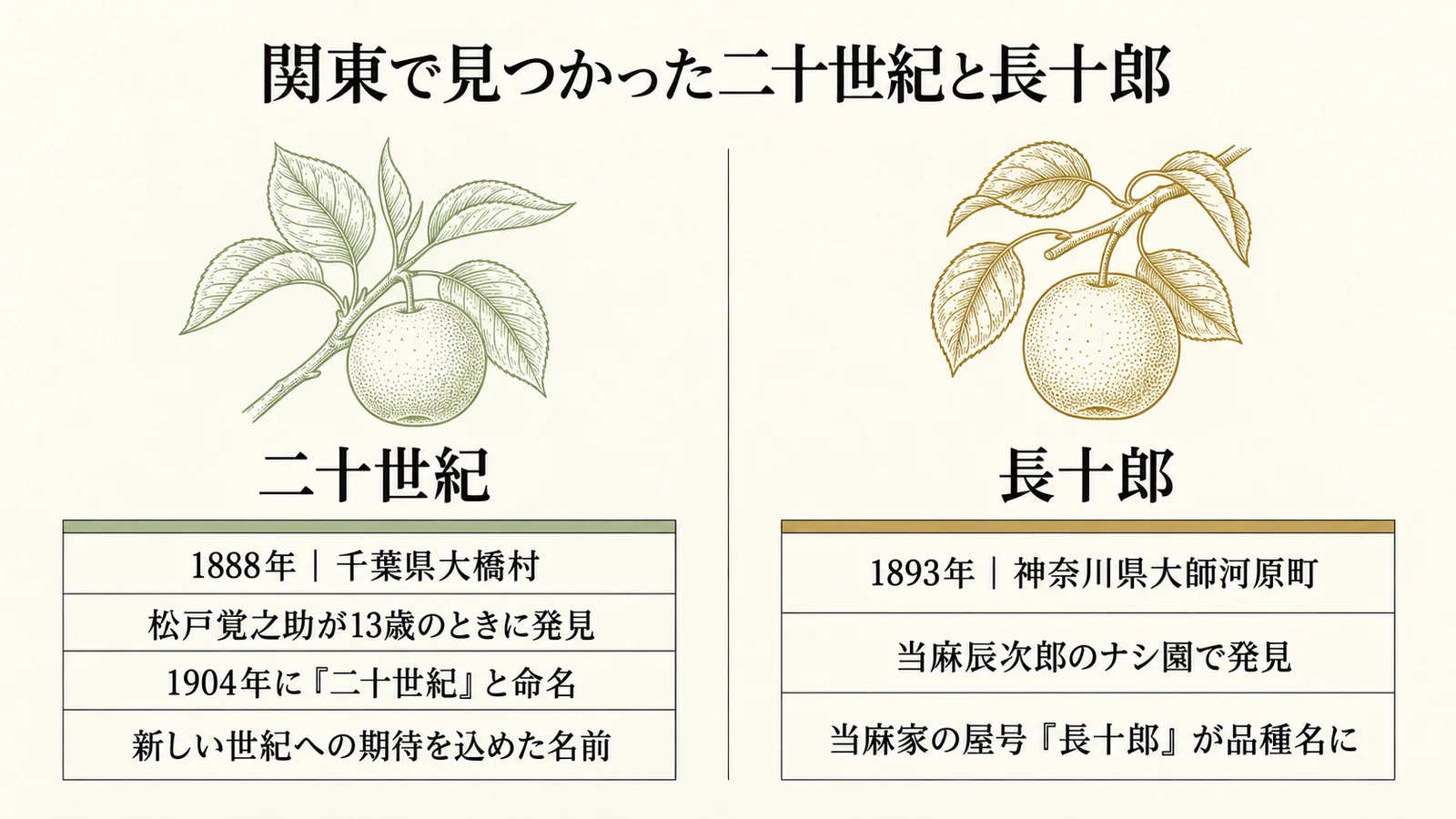 関東で見つかった二十世紀と長十郎