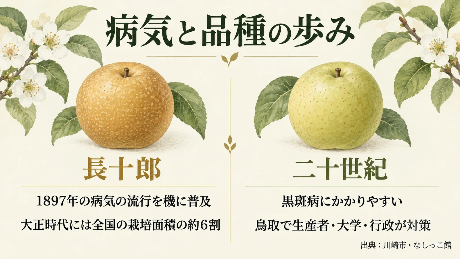 病気と品種の歩み