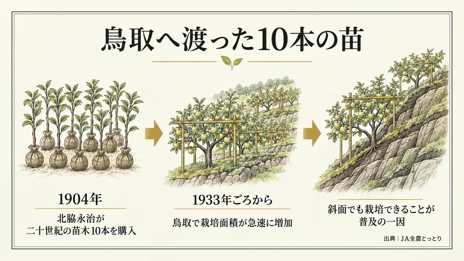 鳥取へ渡った10本の苗