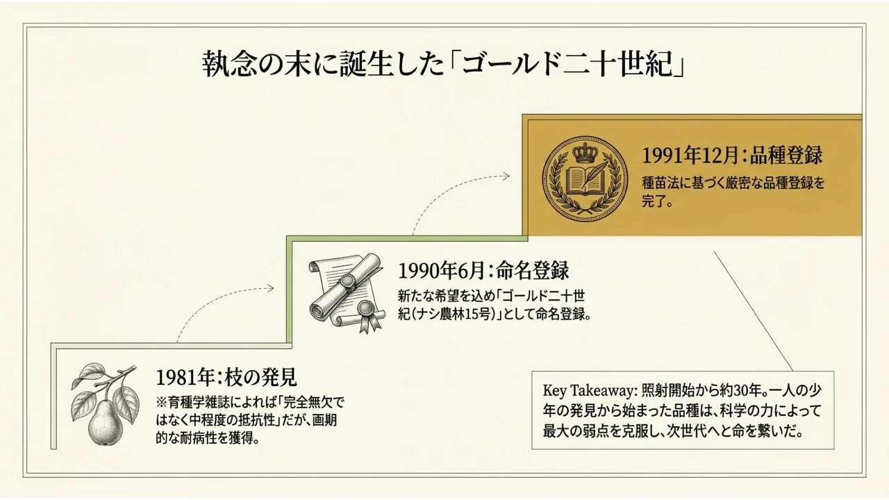 ゴールド二十世紀の枝の発見、命名登録、品種登録を示す年表