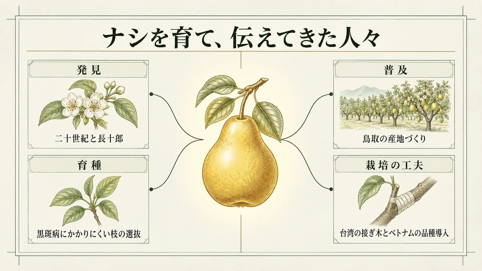 ナシを育て、伝えてきた人々