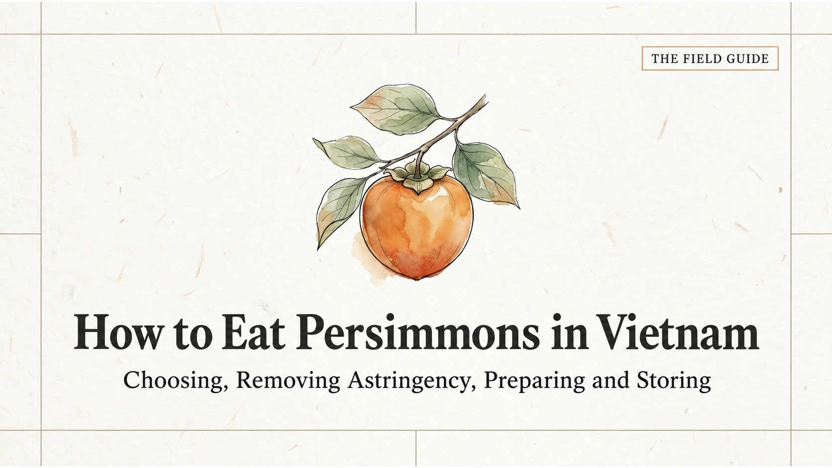 Choosing, preparing and storing persimmons bought in Vietnam.