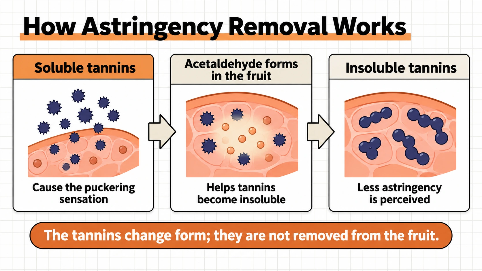 Astringency removal changes tannins into a less soluble form inside the fruit.