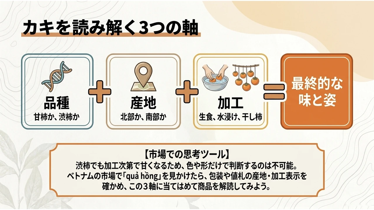 柿を品種・産地・加工の3点で読み解く図