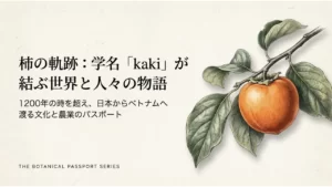 カキの歴史と物語の表紙