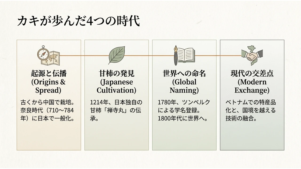 柿の栽培、甘柿の伝承、命名、現代の加工文化の4つの時代