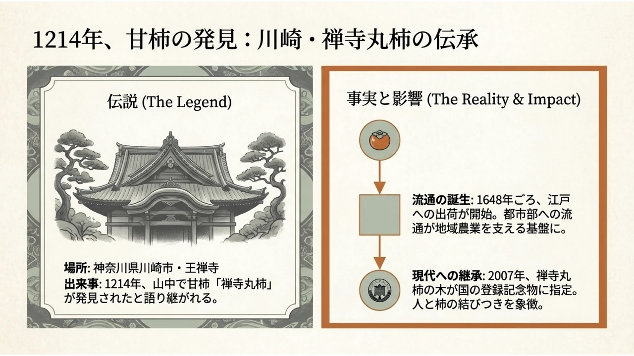 禅寺丸柿の発見の伝承と江戸への出荷の歴史