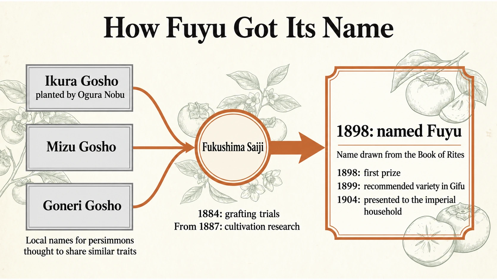 Fukushima Saiji established the name Fuyu in 1898. The fruit was presented to the imperial household in 1904.