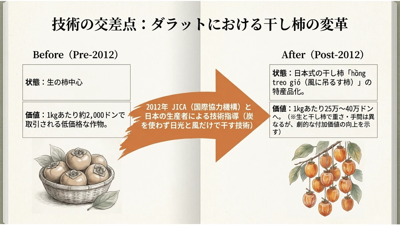 ダラットで生柿の加工から干し柿の特産品化へ進んだ経緯