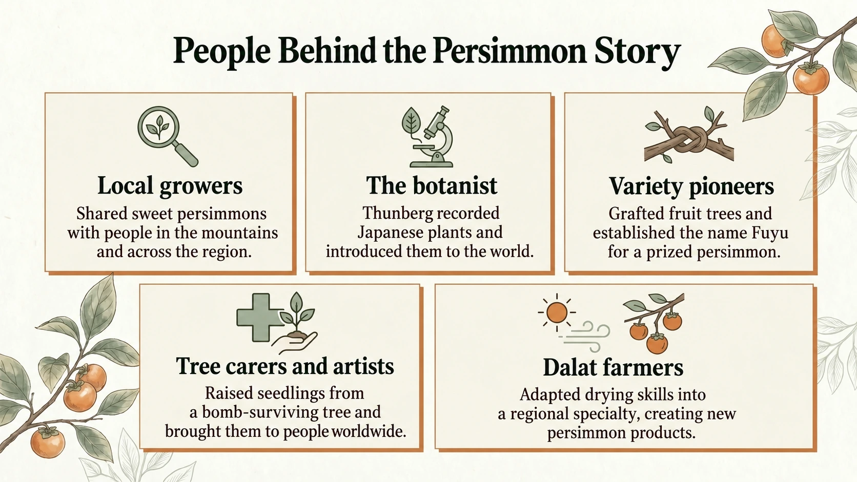 Growers, botanists, variety pioneers, tree carers, artists and farmers all contributed to persimmon history.