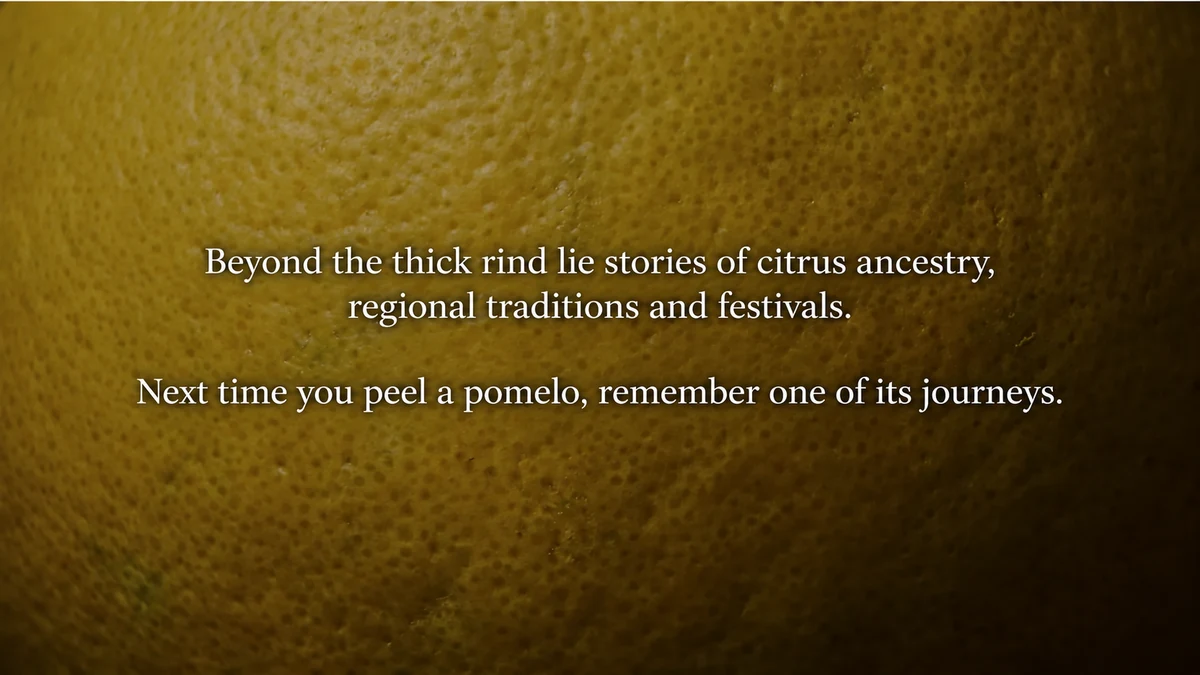 Trade and cultivation helped pomelo take root in different food cultures.