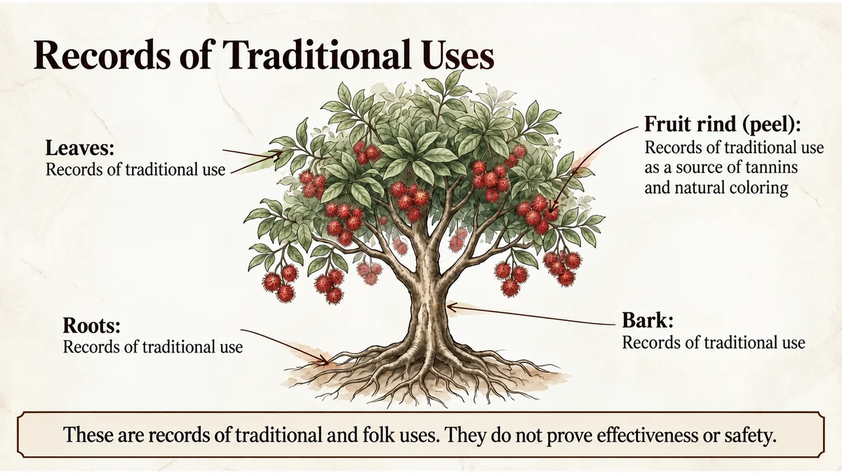Leaves, roots, rind and bark have reported traditional uses.