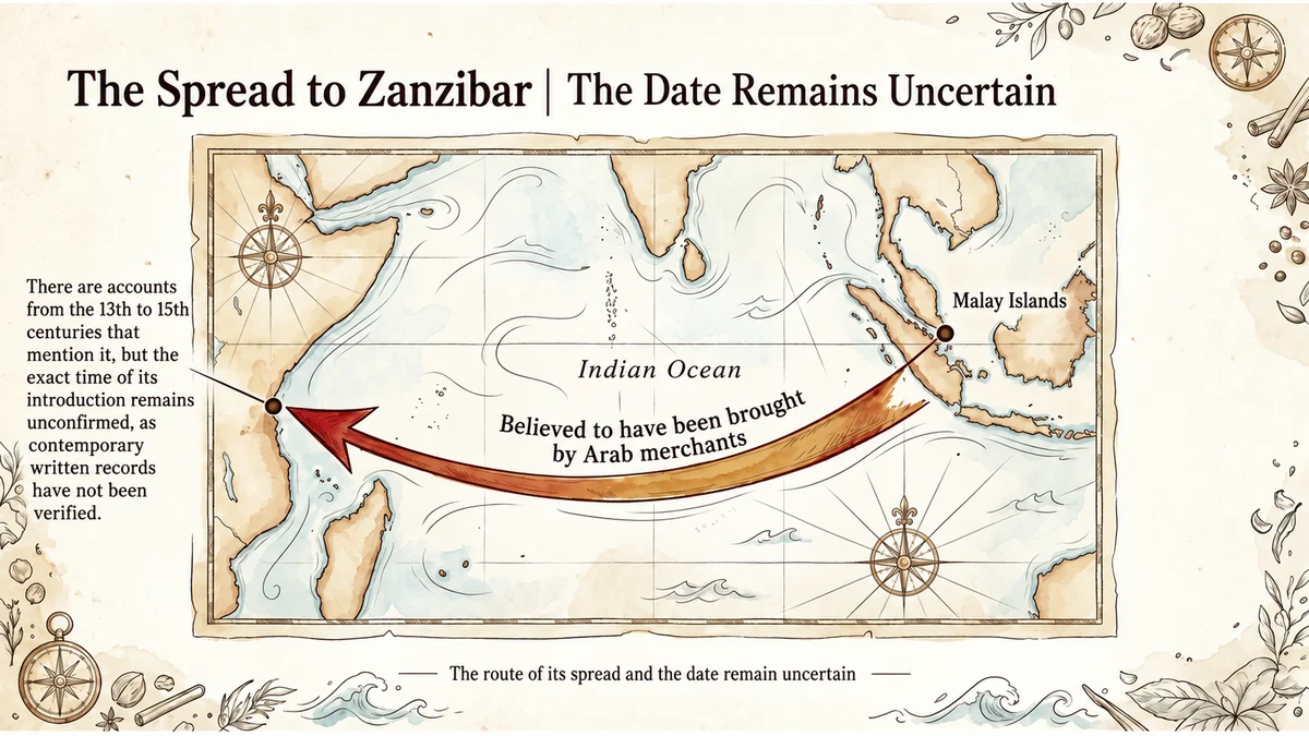 Rambutan History and Stories: Origins, Names and Documented Journeys