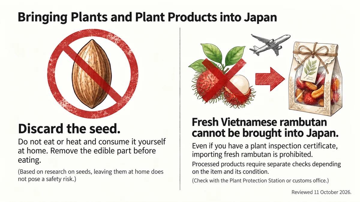 Discard the seed; fresh Vietnamese rambutan cannot be brought into Japan.