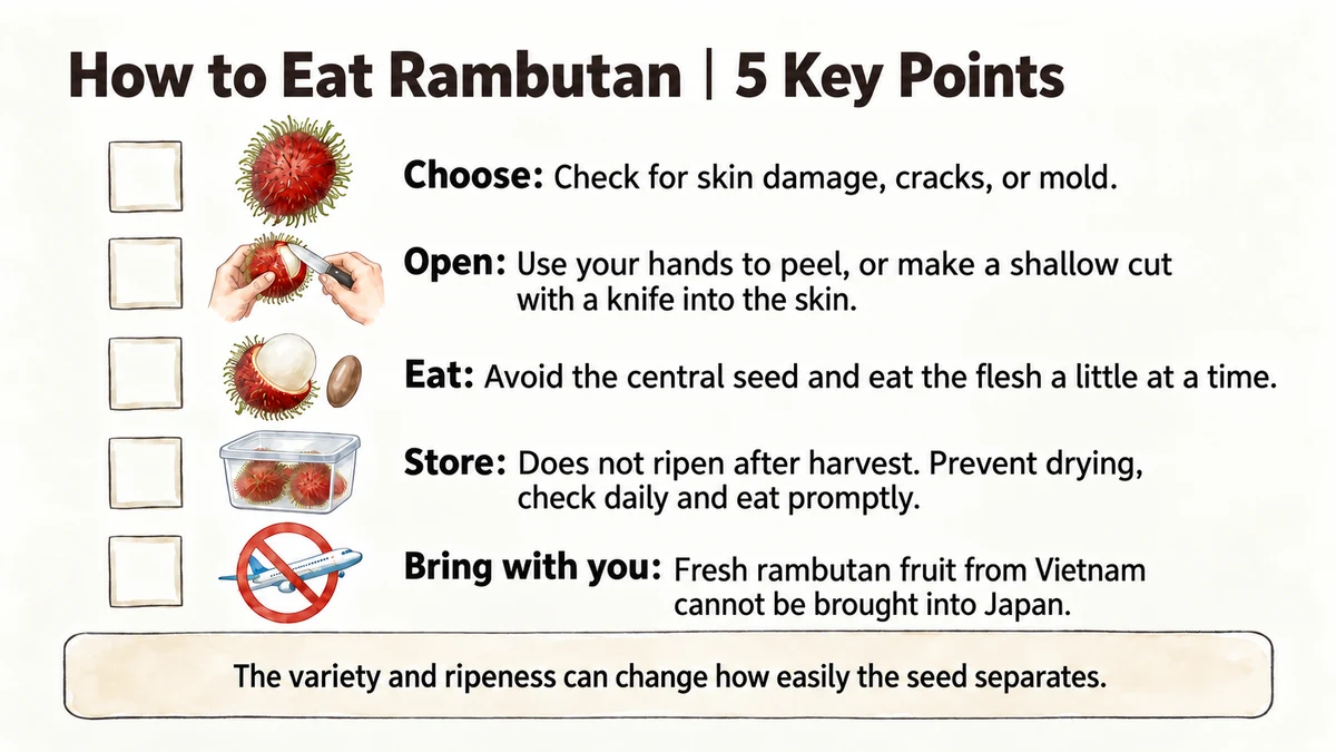 Five key points: choosing, opening, eating, storing and travel restrictions.