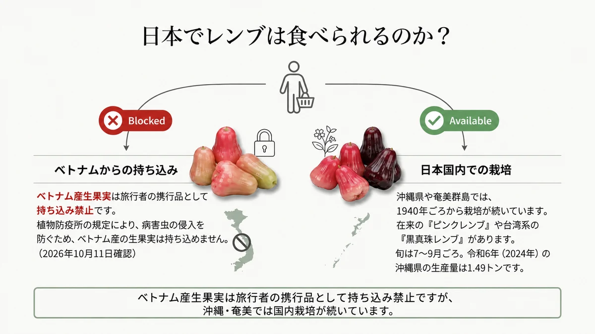 ベトナム産は持ち込めませんが、沖縄・奄美では1940年頃から細々と栽培が続いています。