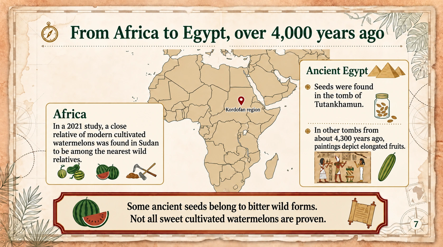 Seeds in Tutankhamun’s tomb and paintings in other tombs are separate pieces of evidence.