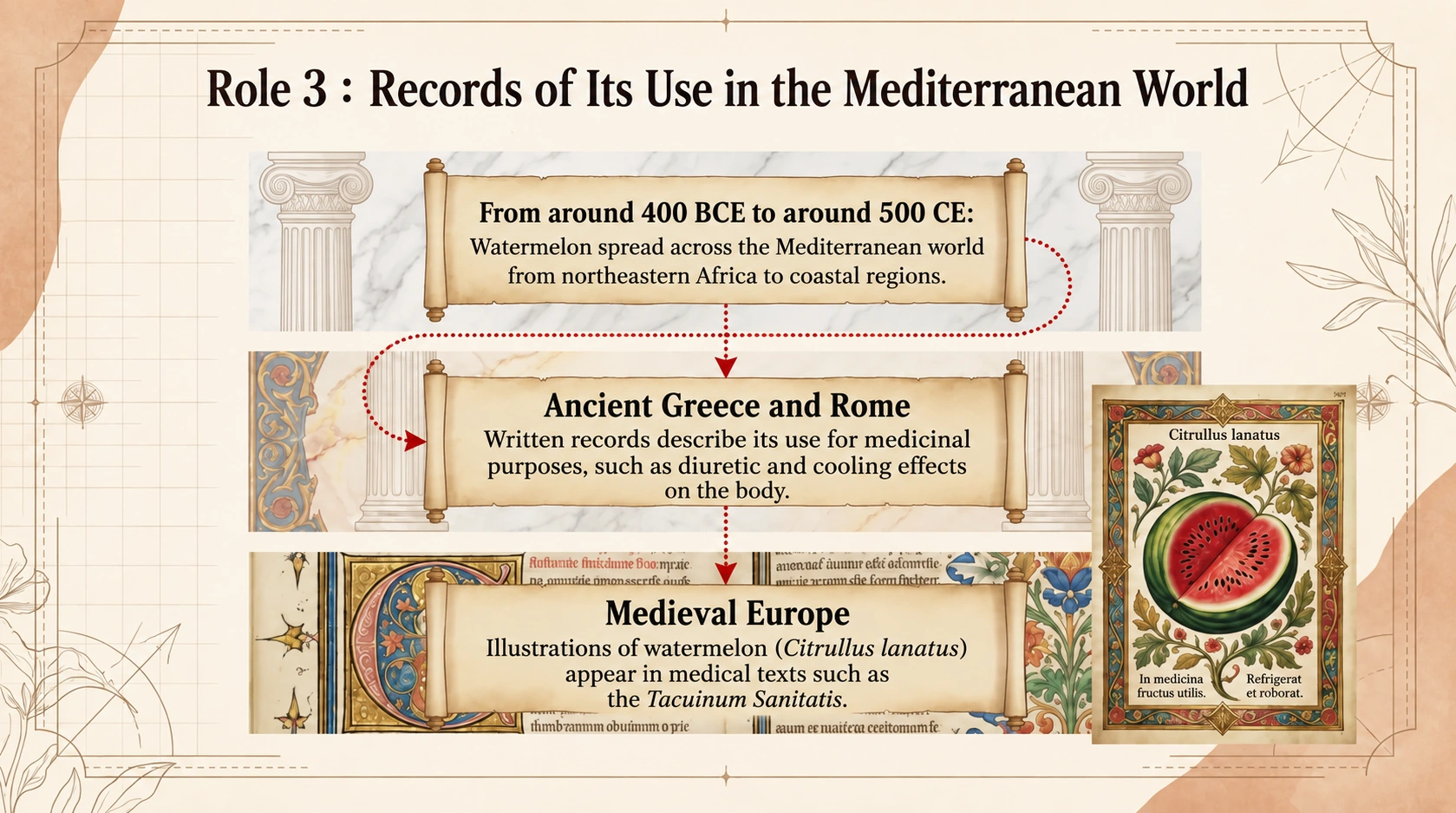 Watermelon in Mediterranean writings and medieval illustrated health manuscripts.