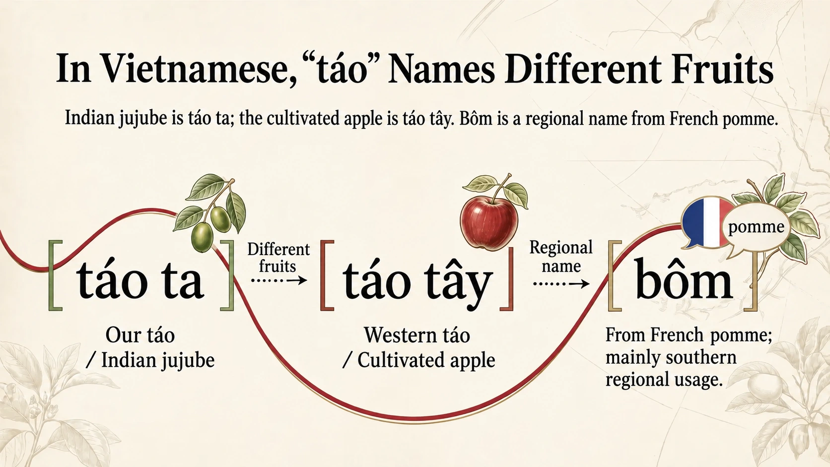 Vietnamese fruit names: táo ta, táo tây and bôm