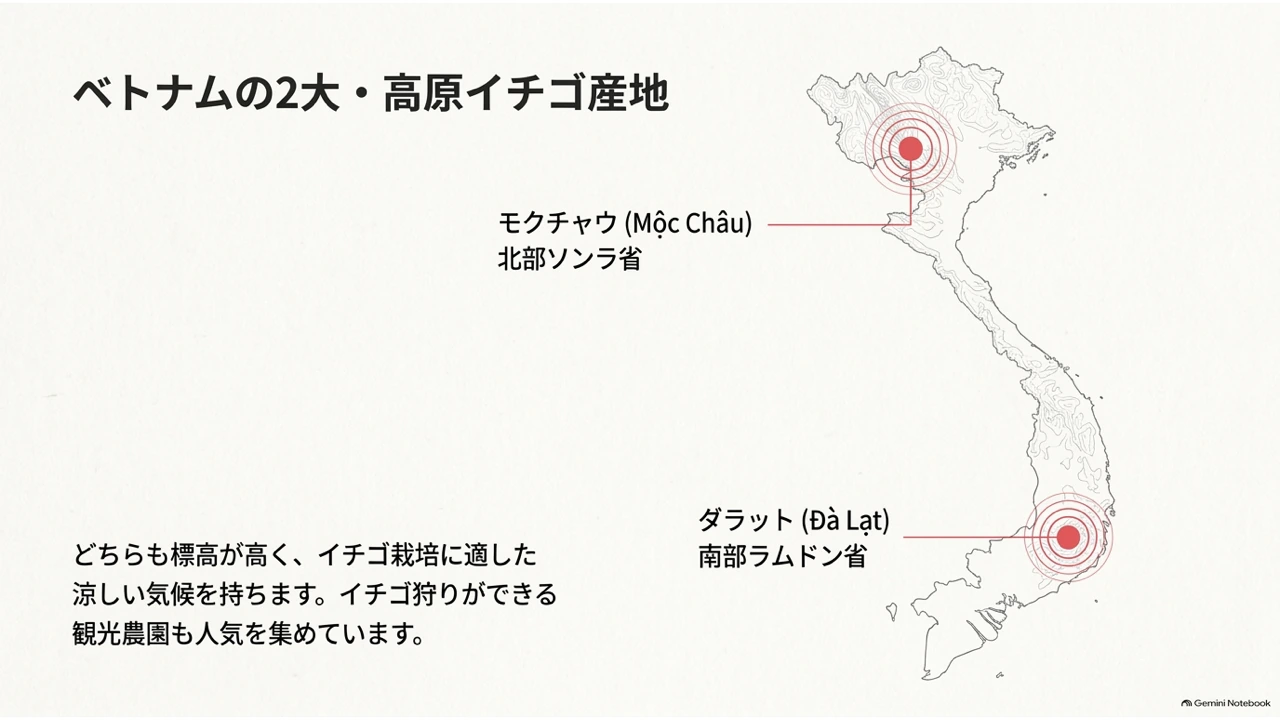 ベトナムの地図上に、北部モクチャウと南部ダラットの2大イチゴ産地を示した図