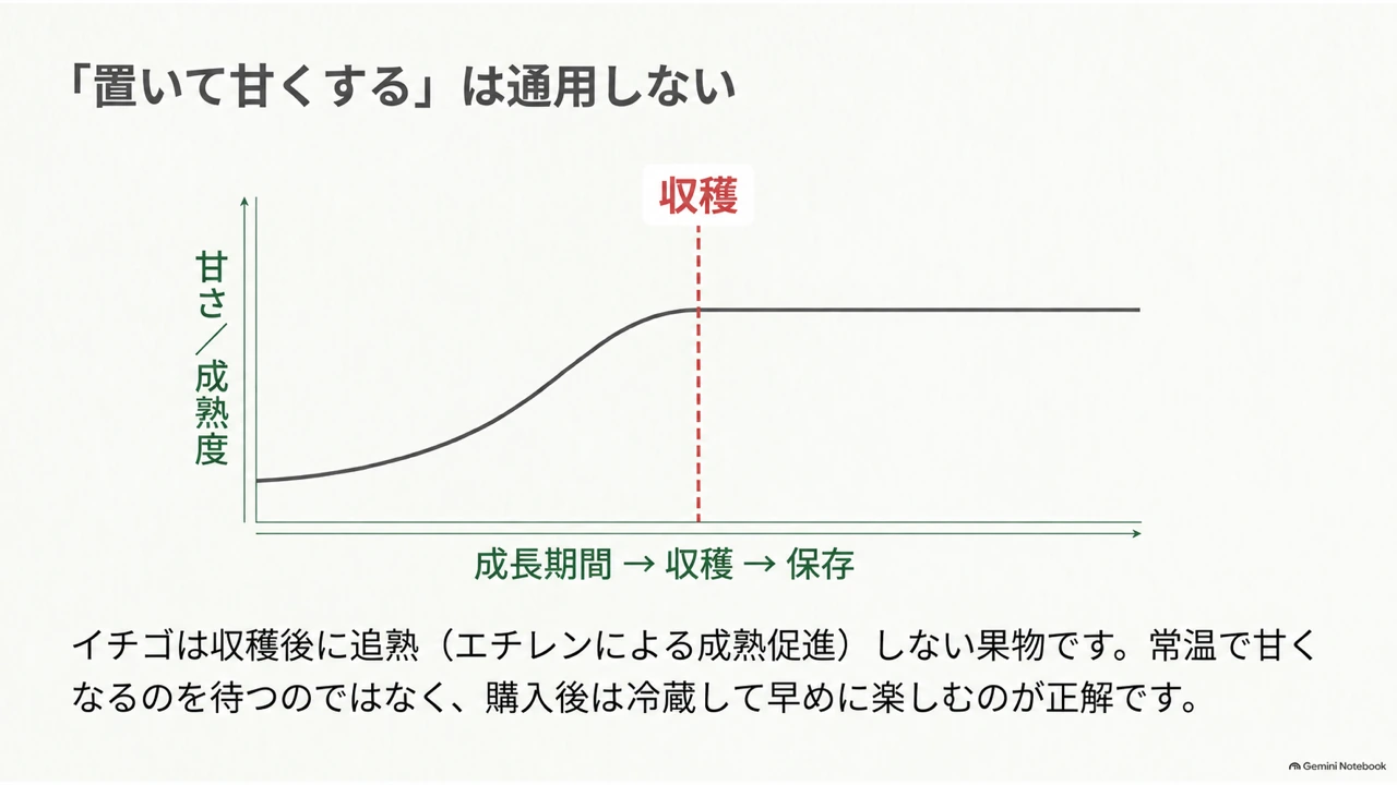 イチゴは収穫後に追熟せず、購入後は冷蔵して早めに食べることを示すグラフ