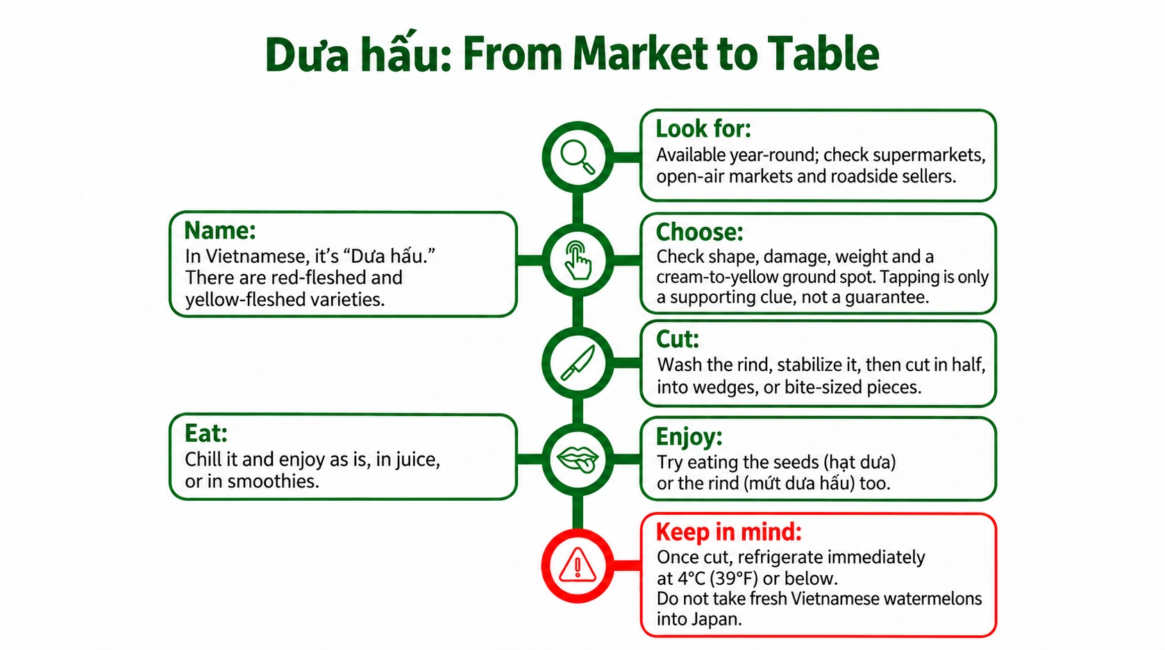 From market to table: find, choose, wash, cut, enjoy and store watermelon.