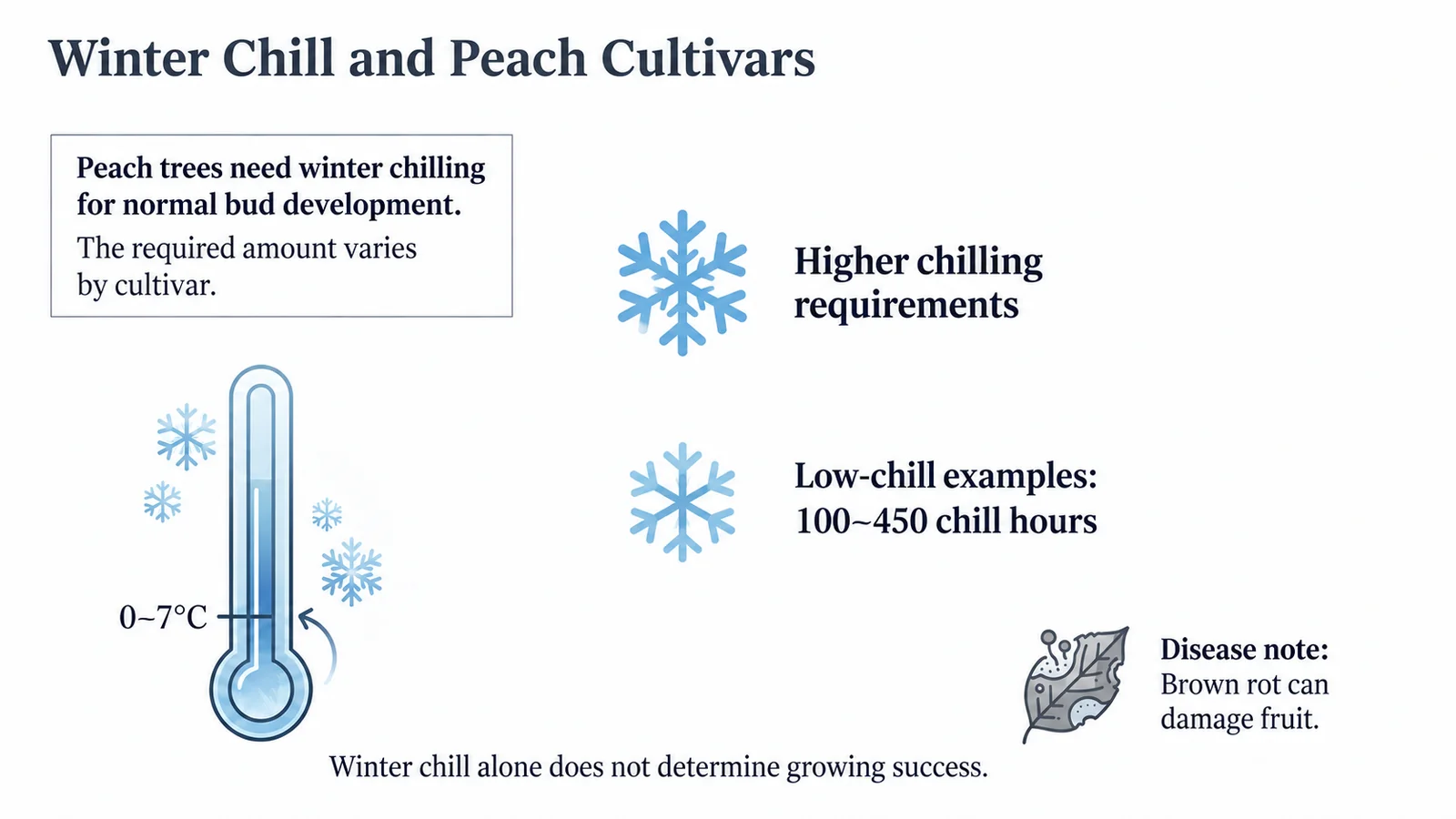 Winter chilling requirements and the risk of brown rot