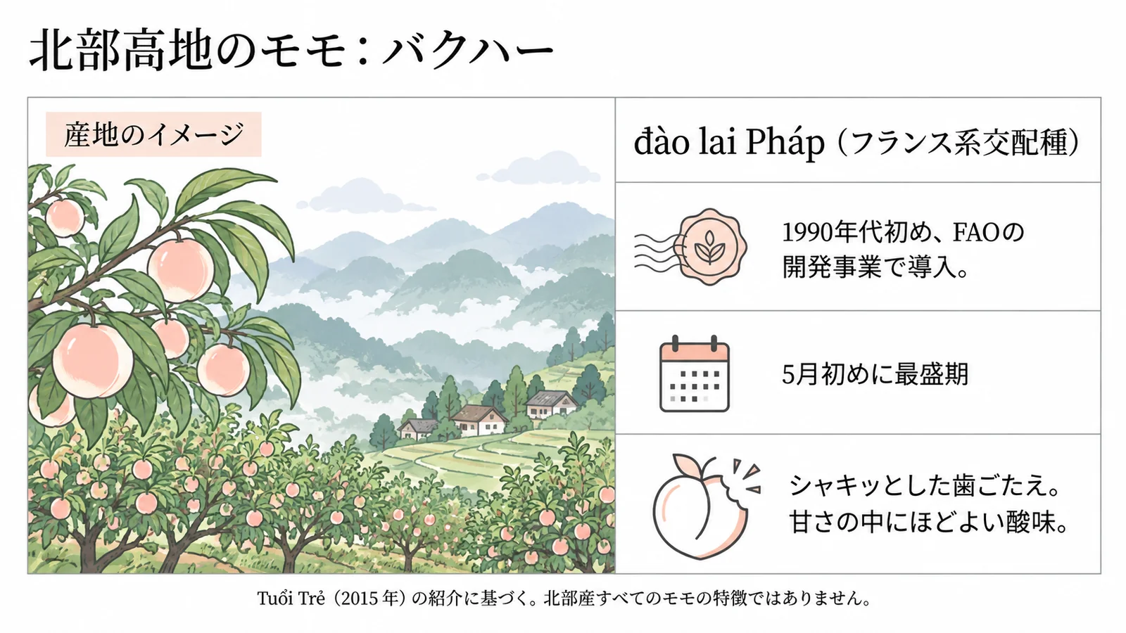 バクハーの桃畑のイメージとフランス系交配種の紹介