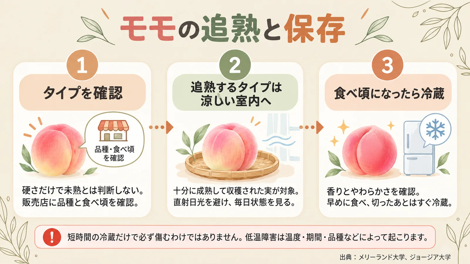 モモのタイプ確認、追熟、冷蔵保存の3段階