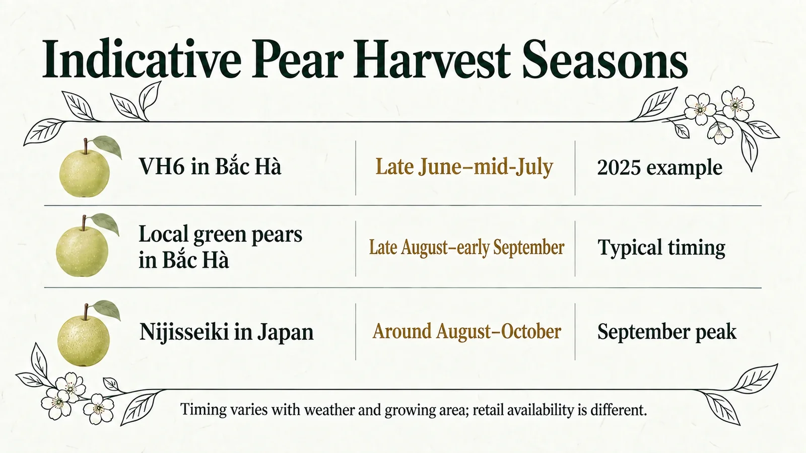 Indicative harvest seasons for VH6, local Bắc Hà green pears and Japanese Nijisseiki