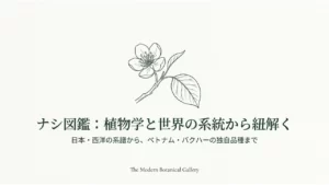 ナシの白い花と葉を描いたナシ図鑑の表紙