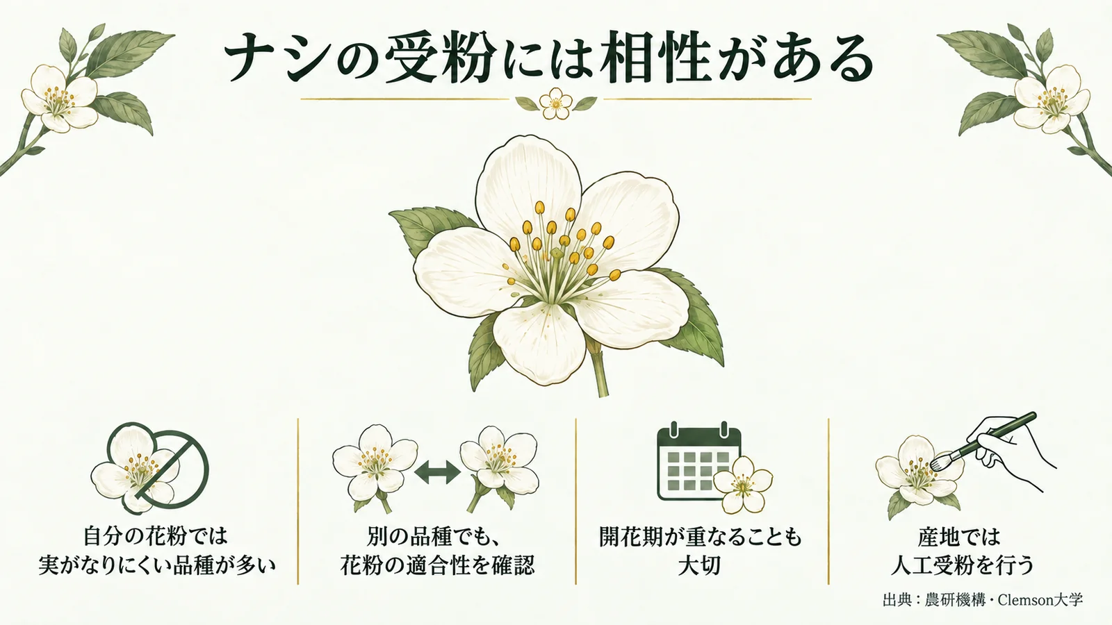 ナシの受粉には相性がある