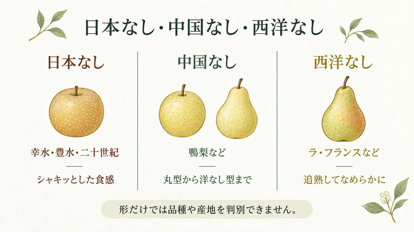 日本なし・中国なし・西洋なし