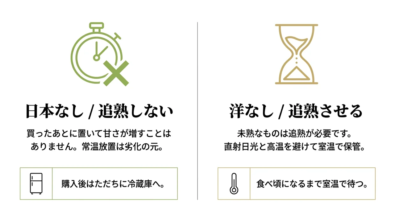 日本なしは購入後に冷蔵し、未熟な洋なしは追熟させる比較図