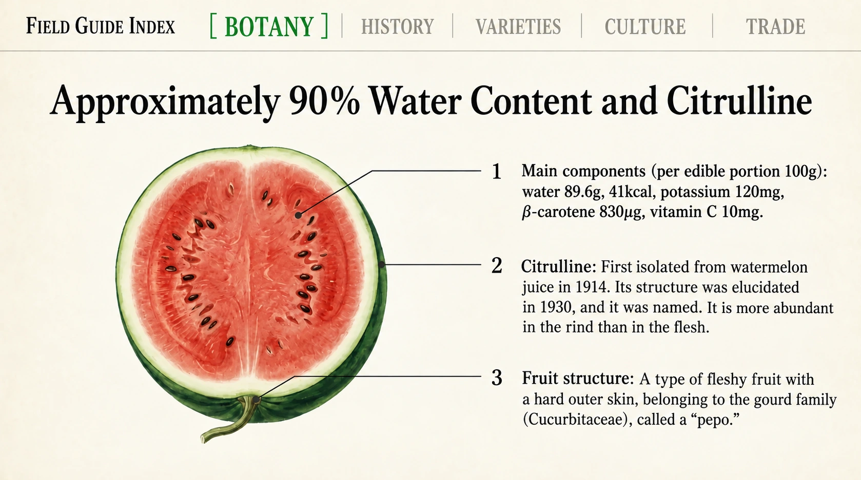 Watermelon nutrition, citrulline research and the structure of a pepo.