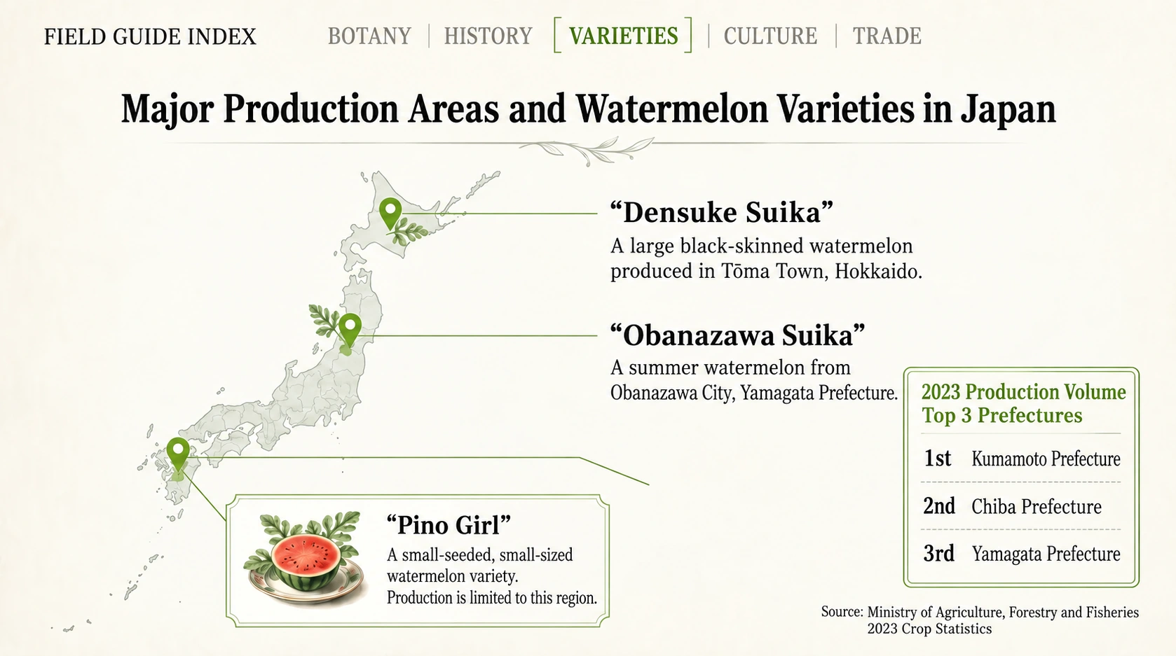 Japan’s growing areas and premium brands, including Densuke, Obanazawa and Pinogirl.