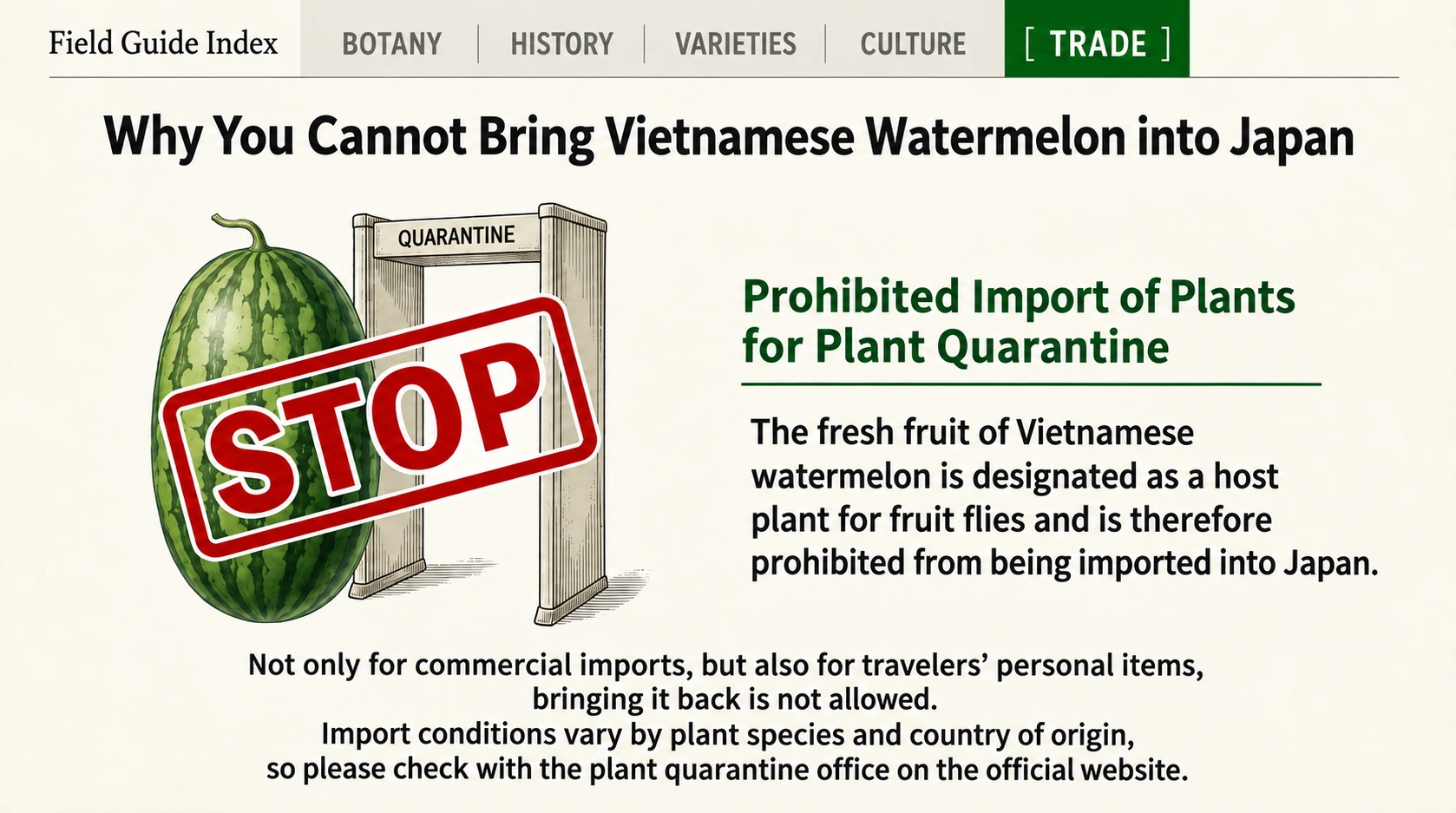Fresh Vietnamese watermelon is prohibited for entry into Japan, including travelers’ baggage.