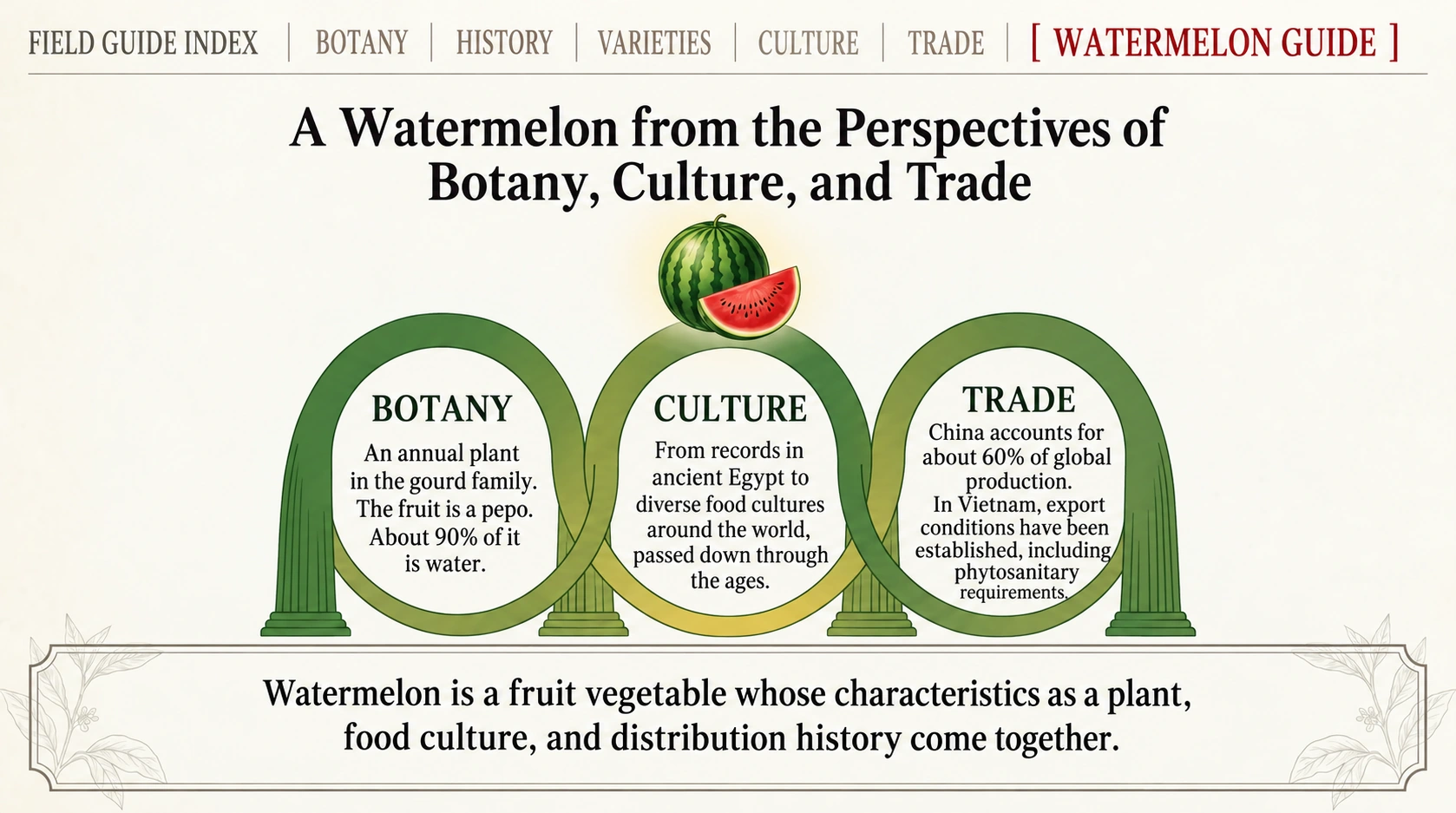 Three views of watermelon: botany, culture and trade.